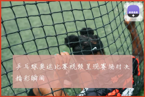 乒乓球奥运比赛视频呈现赛场对决精彩瞬间
