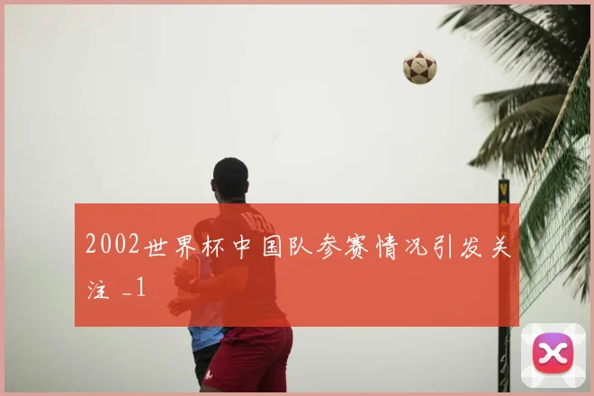 2002世界杯中国队参赛情况引发关注 _1