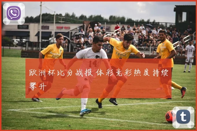 欧洲杯比分战报 体彩竞彩热度持续攀升