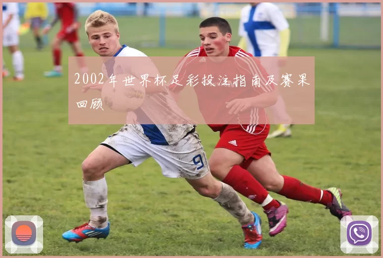 2002年世界杯足彩投注指南及赛果回顾